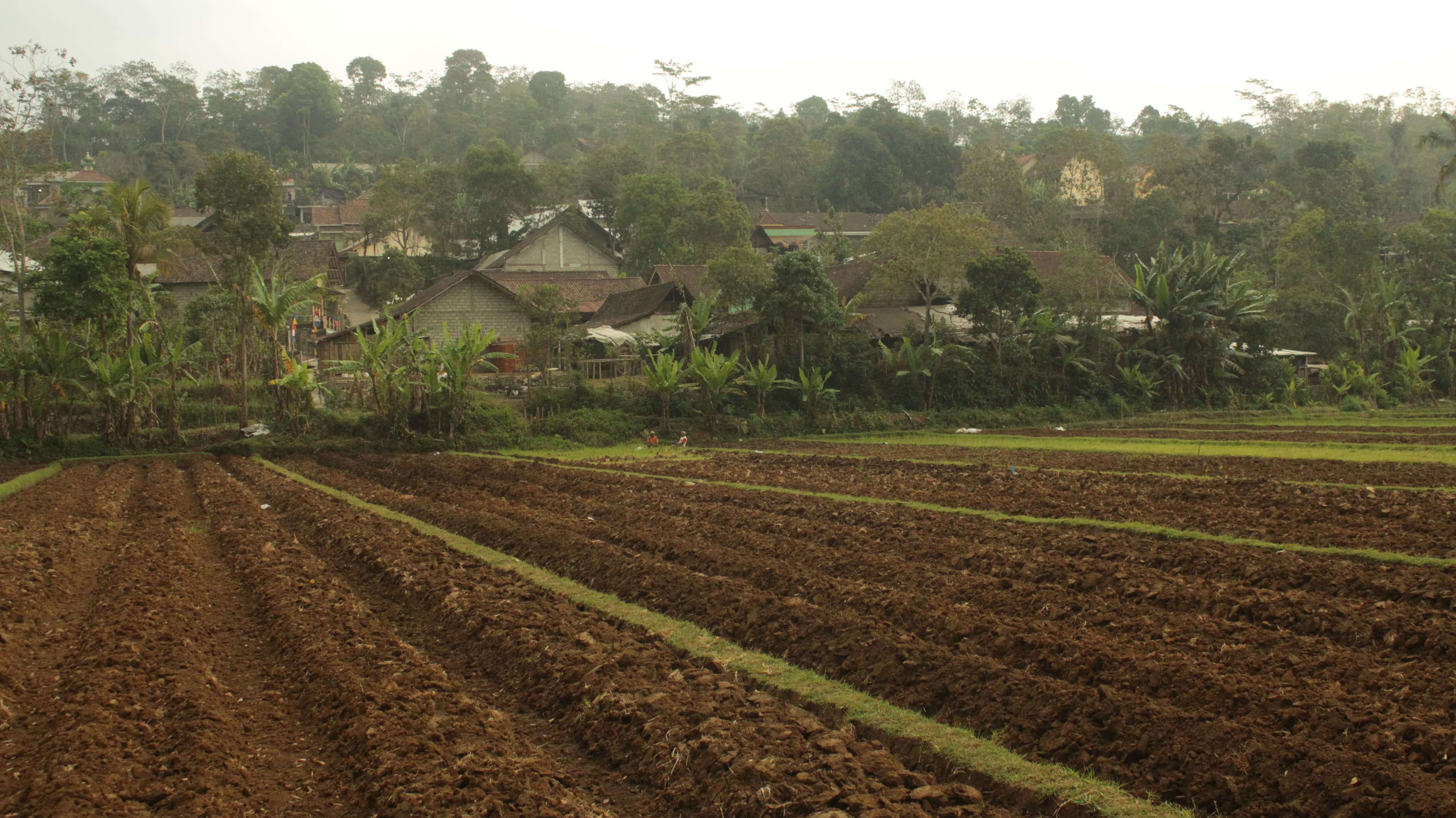 Kegiatan masyarakat Desa Ngadikerso